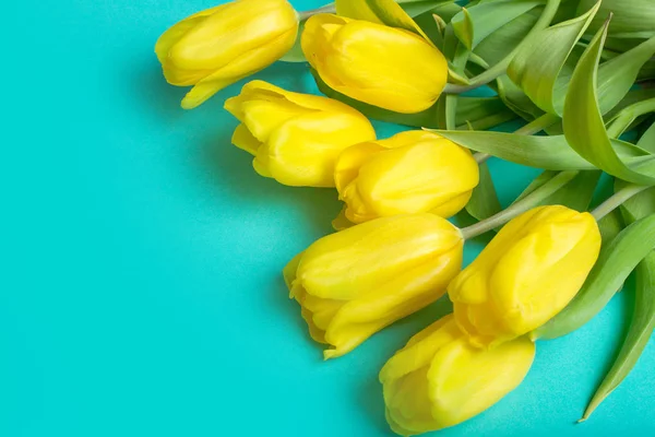 Bouquet of tulips in color background
