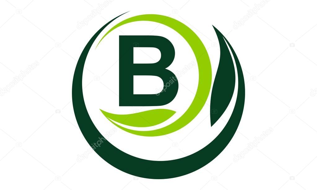 Leaf Motion Initial B