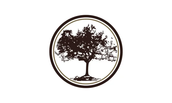 Vetor de modelo de logotipo de árvore de carvalho — Vetor de Stock