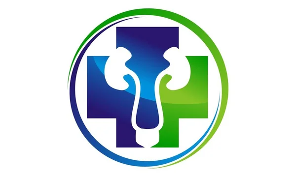 Üroloji bakım Logo tasarım şablonu vektör — Stok Vektör