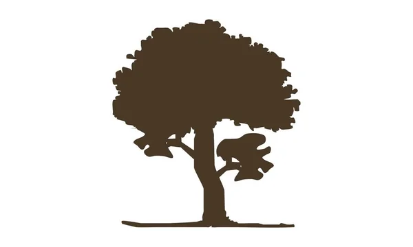 Modèle de conception de logo d'arbre de chêne vecteur — Image vectorielle