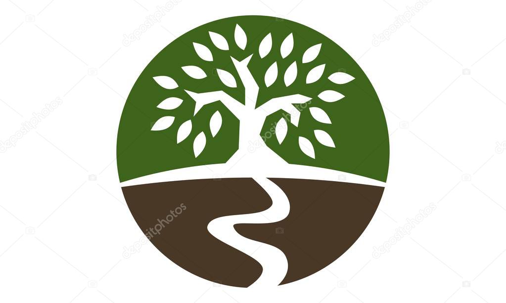 Tree Wealth Management Logo Design Template Vector