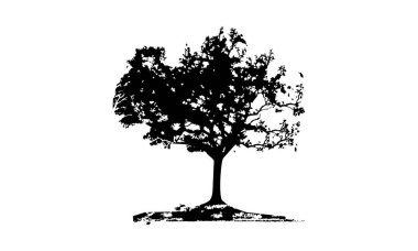 Meşe ağacı şablonu