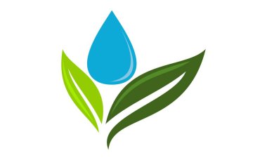 yeşil yaprak ve su damlası