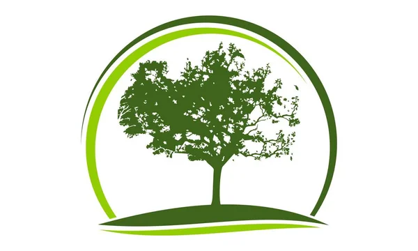 Modèle de conception de logo d'arbre de chêne vecteur — Image vectorielle