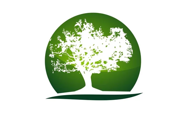 Vetor de modelo de logotipo de árvore de carvalho —  Vetores de Stock