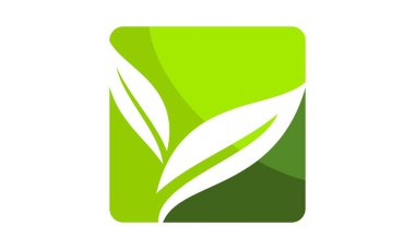 Logo tasarım şablonu vektör yeşil yaprak