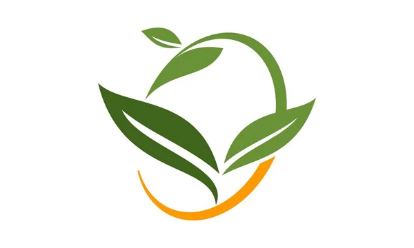 Vector de plantilla de diseño de logotipo de hoja verde — Archivo Imágenes Vectoriales