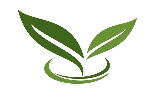 Grüne Blatt-Logo-Design-Vorlage Vektor — Stockvektor