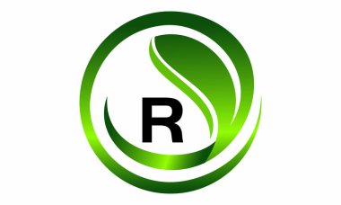 İlk R Logo tasarım şablonu vektör yaprak