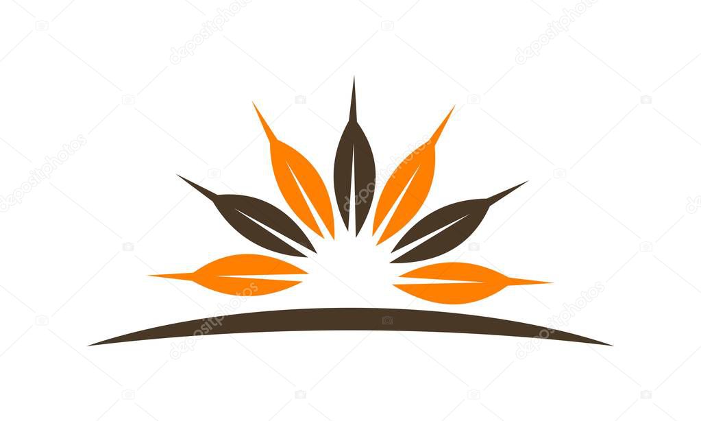 Harvest Logo Design Template Vector