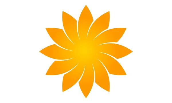 Wealth Management Sun Flower — Stock vektor