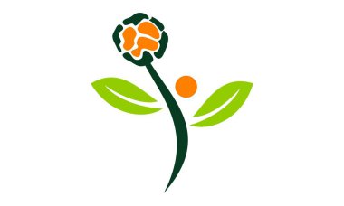 Servet yönetim ayçiçeği