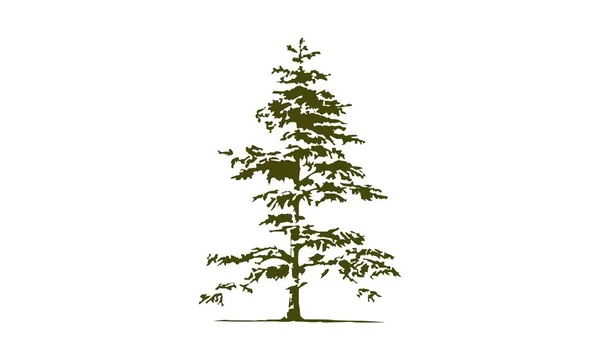 Plantilla de diseño de logotipo de árbol de cedro Vector — Vector de stock