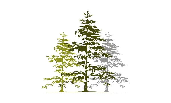 Вектор дизайна Cedar Tree — стоковый вектор