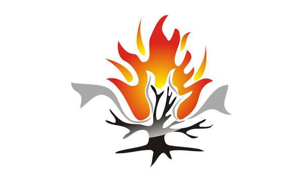 Сжигание технологий Буша
