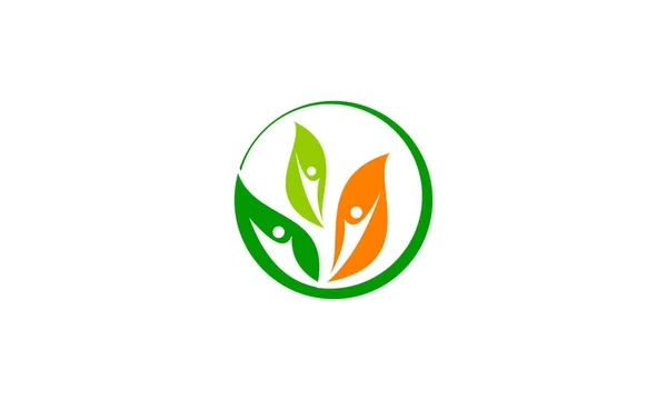 Liść zdrowia Logo szablon wektor — Wektor stockowy