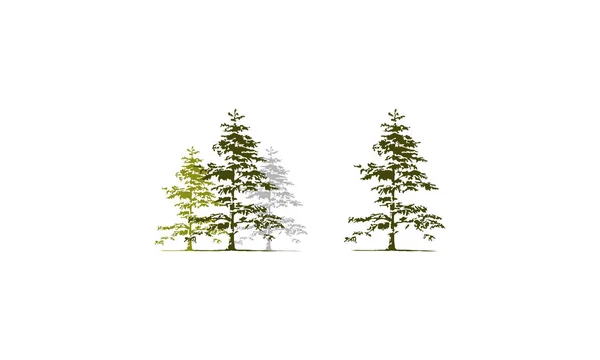 Cedar Tree Template Set — Stock Vector