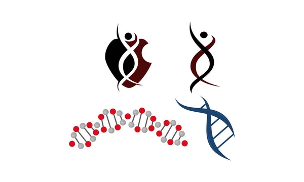 DNA Genetics sjabloon Set — Stockvector