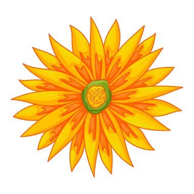 Vektör çiçekli botanik illüstrasyon renk süsü