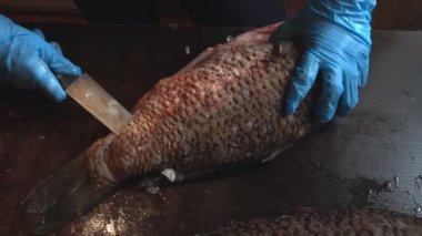 Temizlik ve taze balık kesme