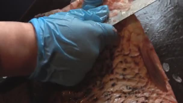 Limpeza e corte de peixe fresco — Vídeo de Stock