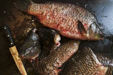 Masaya taze soyulmuş sazan balık