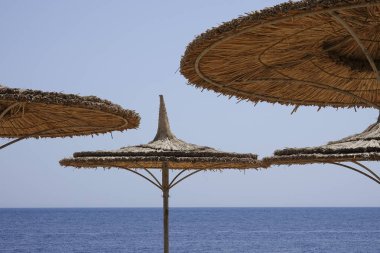 Kızıldeniz sahilinde bir hasır şemsiyeler