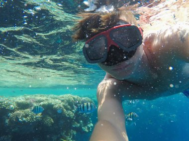 Mercan Denizi yakınındaki bir sualtı maskesi bir adamla yüzüyor