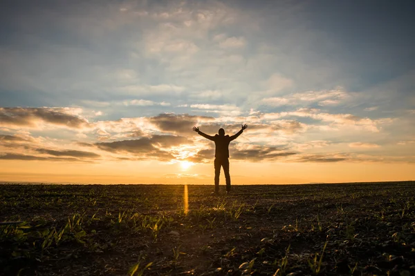 Businessman Raising Arms for Success at the Field — Stock fotografie