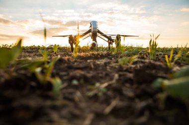 Uzaktan kumanda ile quadrocopter dron. Derma günbatımı karşı karanlık siluet.