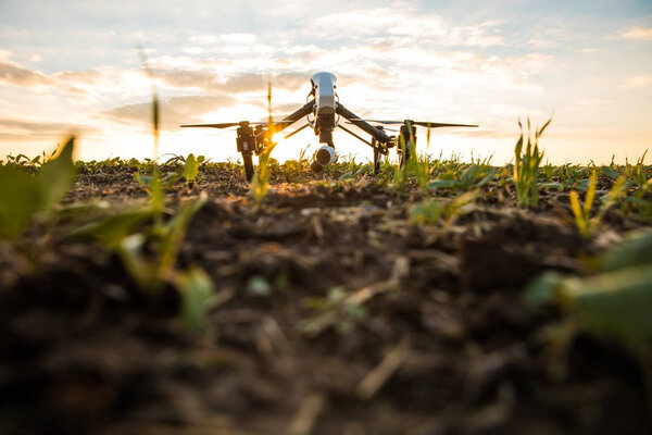 quadrocopter drone with remote control. Dark silhouette against colorfull sunset.