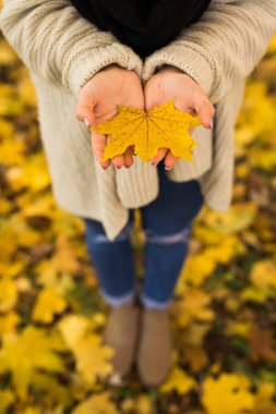 Kız ormanda sarı yaprakları ile elleri açmak