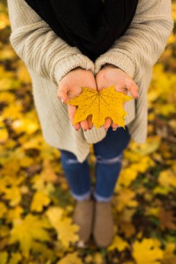 Kız ormanda sarı yaprakları ile elleri açmak