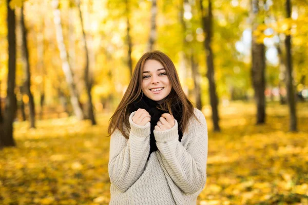 Porträt eines jungen Mädchens im sonnigen Herbstpark — Stockfoto