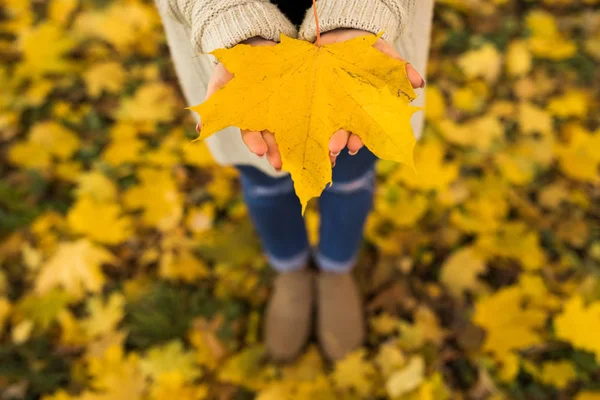 Mädchen öffnet Hände mit gelben Blättern im Wald — Stockfoto