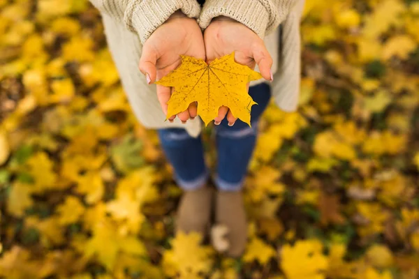 Mädchen öffnet Hände mit gelben Blättern im Wald — Stockfoto