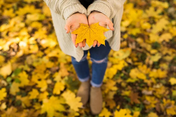 Mädchen öffnet Hände mit gelben Blättern im Wald — Stockfoto