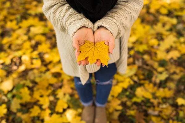 Kız ormanda sarı yaprakları ile elleri açmak