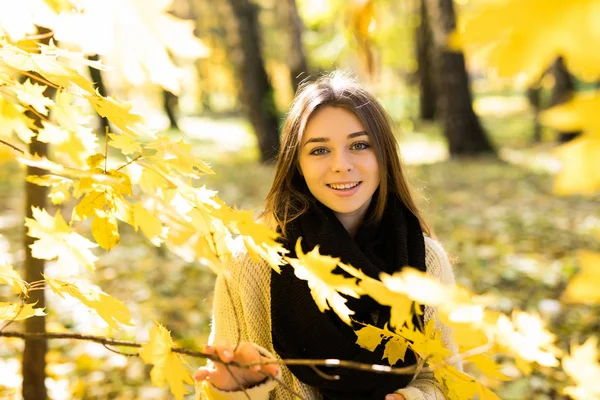 Mädchen in der Nähe von gelben Herbstblättern im Wald — Stockfoto