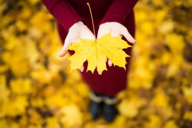 Sonbahar yaprakları kızların elinde