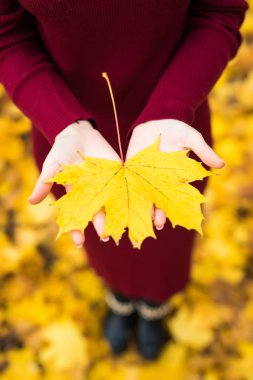 Sonbahar yaprakları kızların elinde