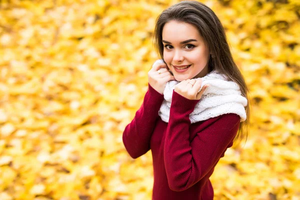 Belleza chica al aire libre en el bosque de otoño con hojas amarillas desde arriba — Foto de Stock