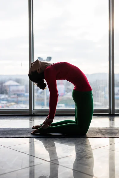 Hermosa yoga mujer práctica abajo perro yoga poses en un gran ventana hall fondo . —  Fotos de Stock