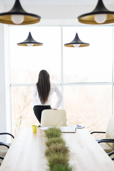 Mujer de negocios hablar por teléfono cerca de la ventana grande en la sala de conferencias — Foto de Stock