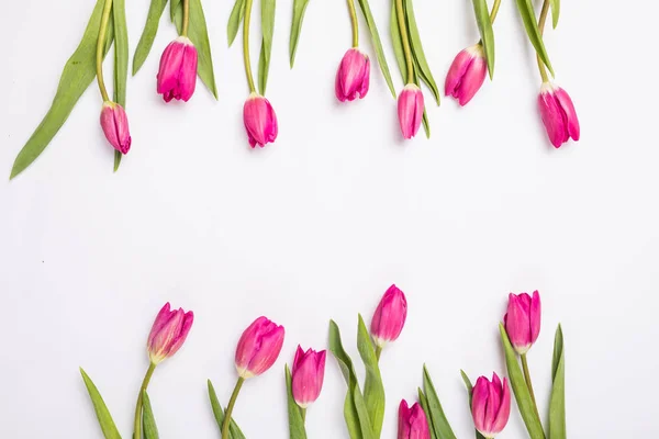 Розовые тюльпаны, изолированные на белом для двух сторон. Плоский, вид сверху . — стоковое фото
