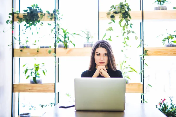 Porträtt av attraktiva kvinna sitter i chaite och arbetar på bärbar dator på nätet. — Stockfoto