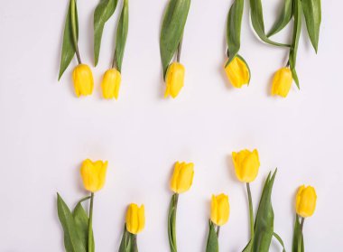 Arka plan ile her iki taraftan beyaz zemin üzerine Sarı laleler. Metin için yer. Kopya alanı ile Üstten Görünüm