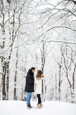 Genç çift sarılma ve kışın parkta öpüşme.