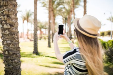 Kadını palmiye ağacı ve akıllı telefon açık kullanarak fotoğrafı al. Siyah perde-in kopya alanı için telefon